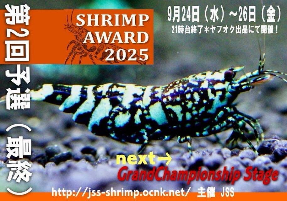 Just Geek Ueno | Just Geek